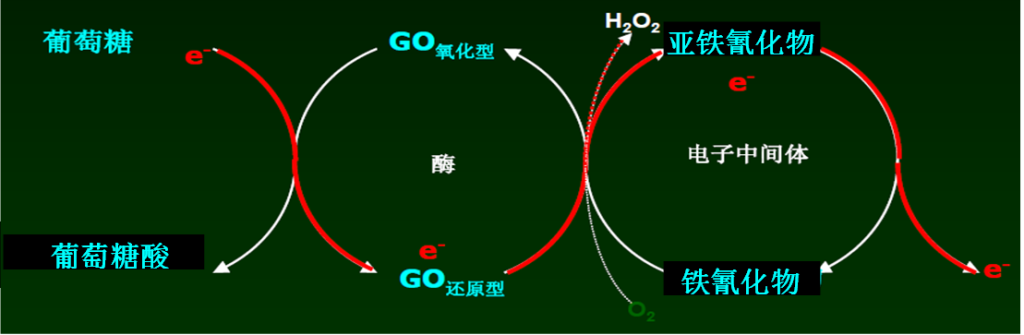 血糖仪 (GOD) 血糖测试反应原理图
