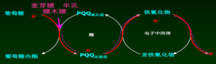 血糖仪 (GDH) 血糖测试反应原理图