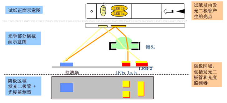 光化学法血糖仪的测试原理图