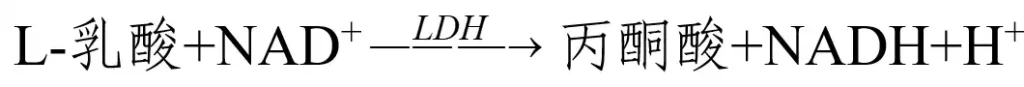 乳酸脱氢酶测定试剂注册反应方程式示意图