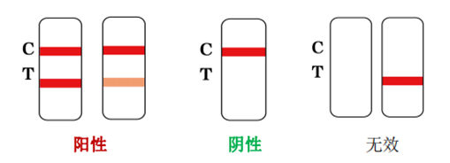 HCG检测试剂结果示例图（阳性、阴性、无效）