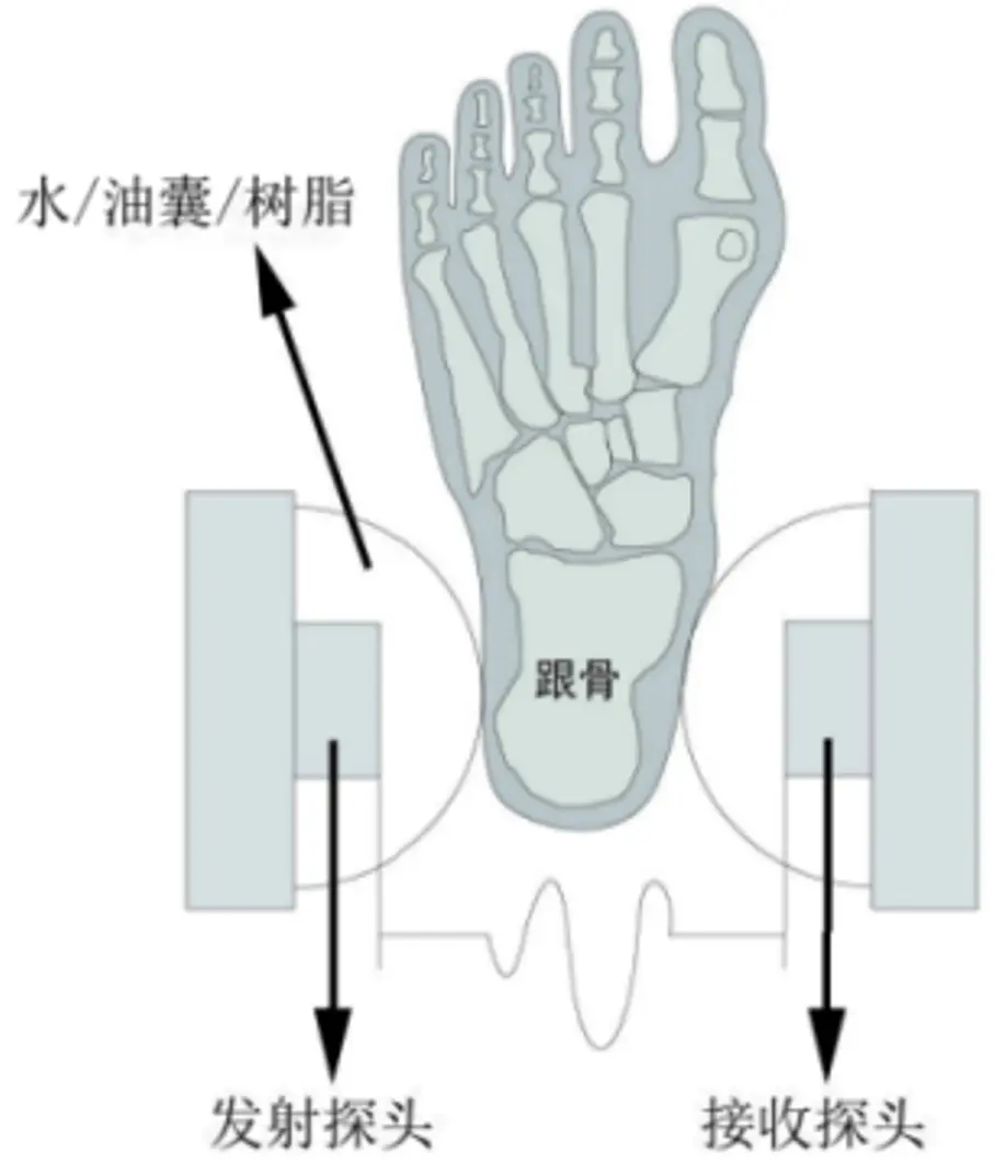 超声骨密度仪注册跟骨测量原理图