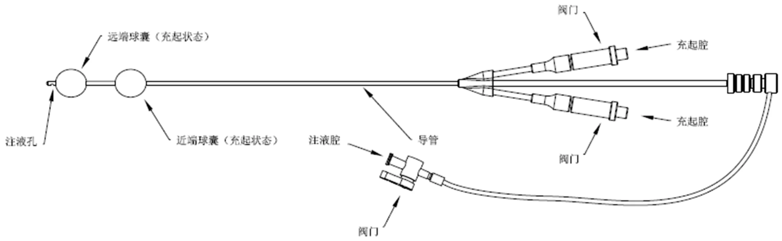 子宫输卵管造影球囊导管注册示意图：双球囊