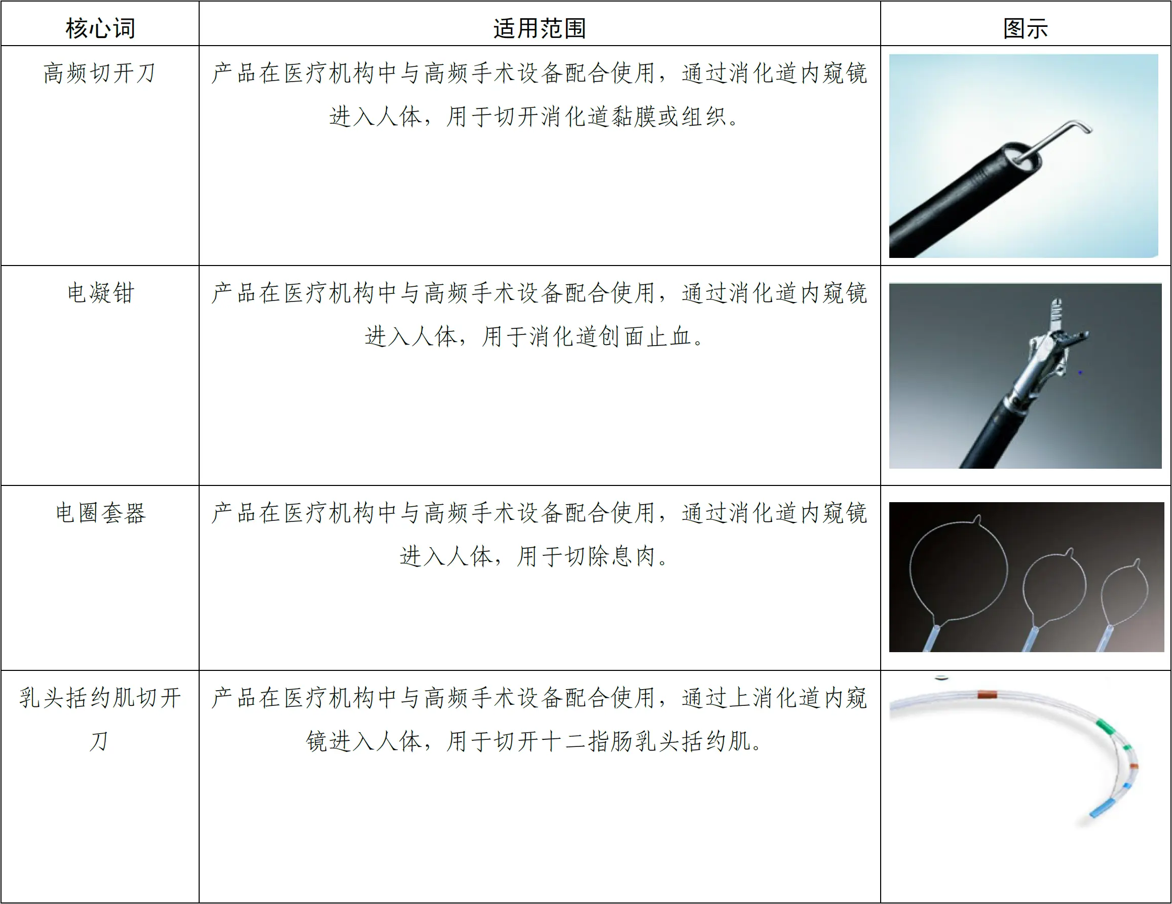 软性内窥镜用高频手术器械注册 - 产品核心词表
