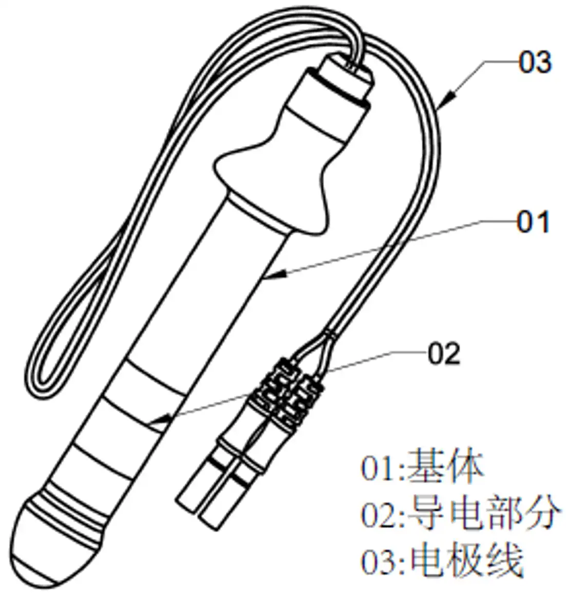 神经和肌肉刺激器用体内电极注册 - 直肠电极示意图