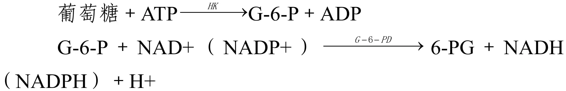 葡萄糖检测试剂注册 - 反应原理示意图
