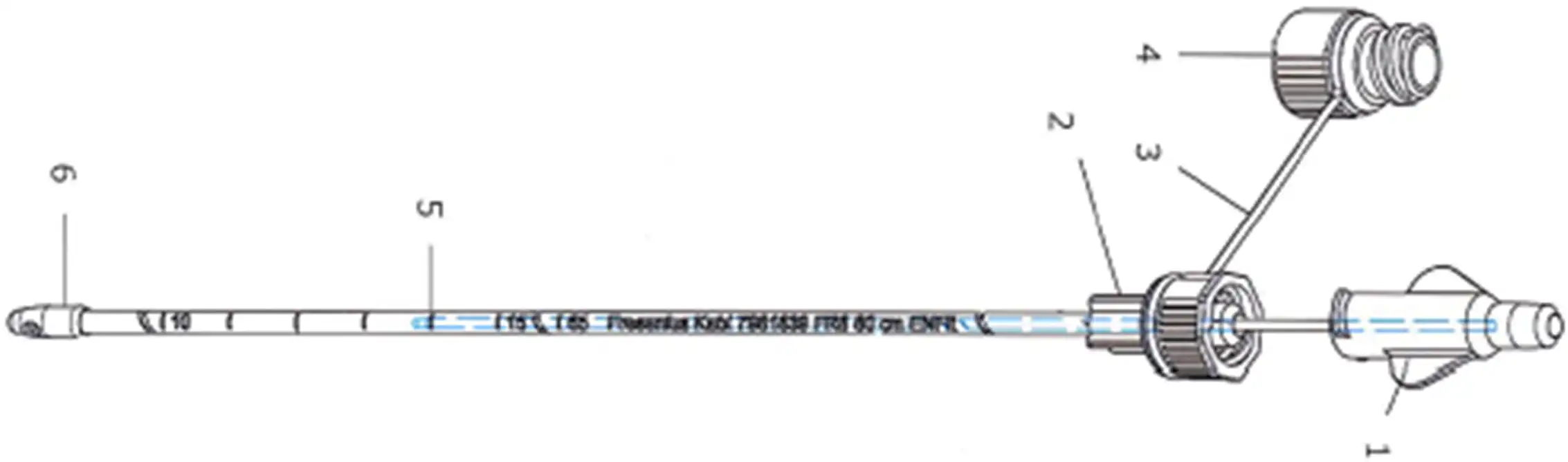 经鼻肠营养导管注册审查 - 单腔示意图