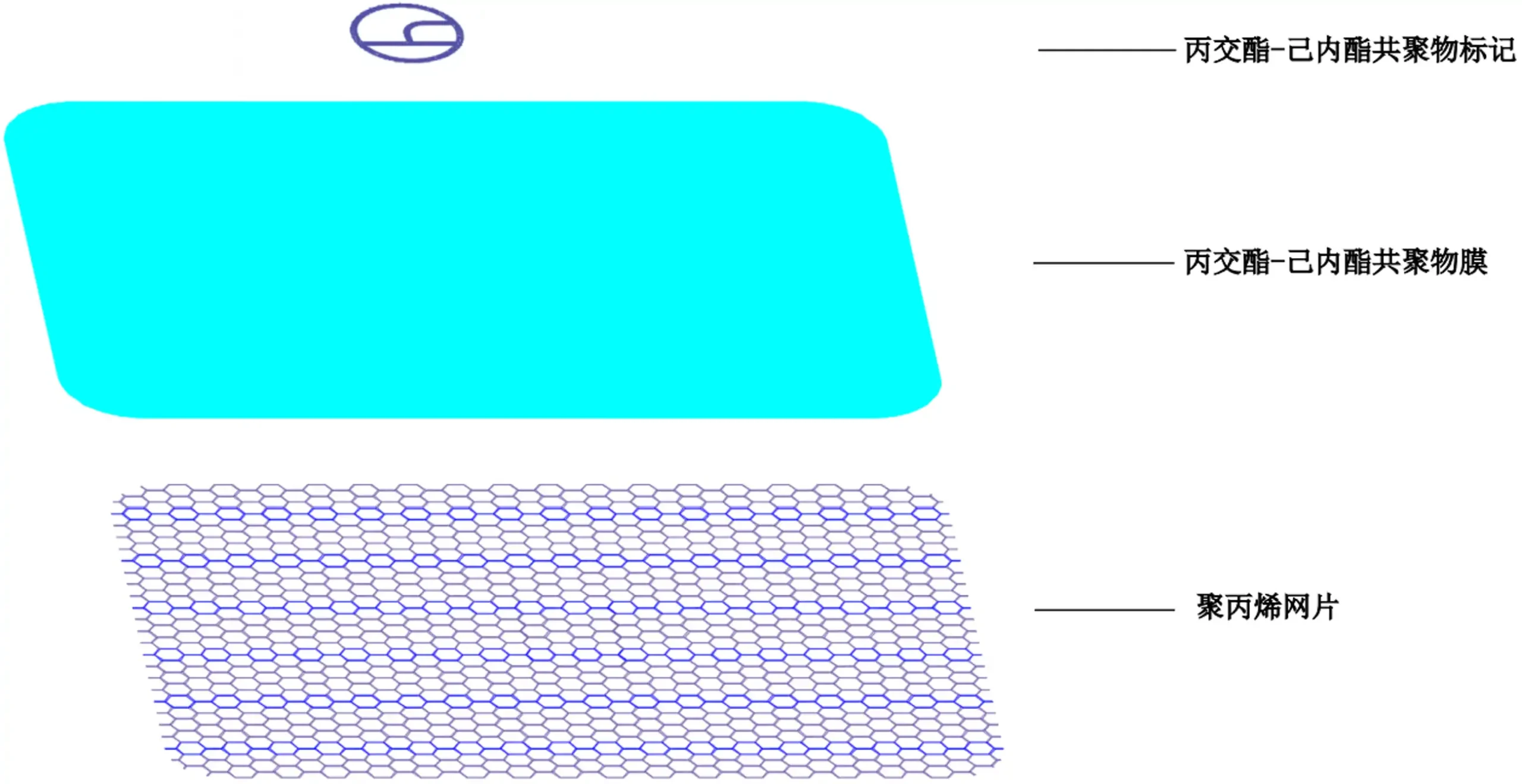 疝修补补片注册审查细节图例2
