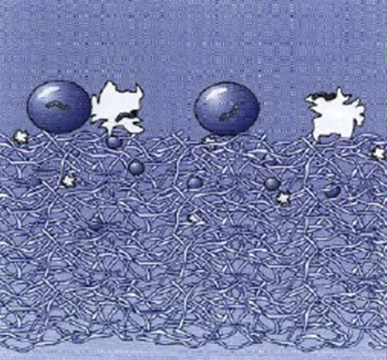 图3 呼吸系统过滤器注册审查直接拦截示意图