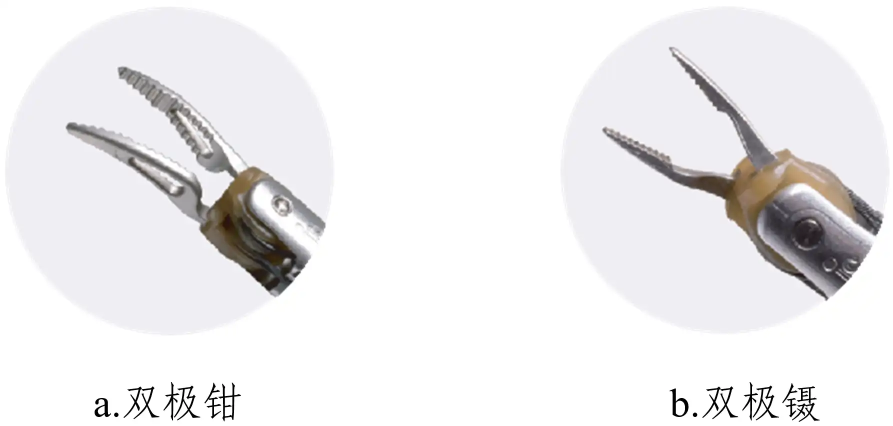 双极手术器械举例图示 腹腔内窥镜手术系统注册审查