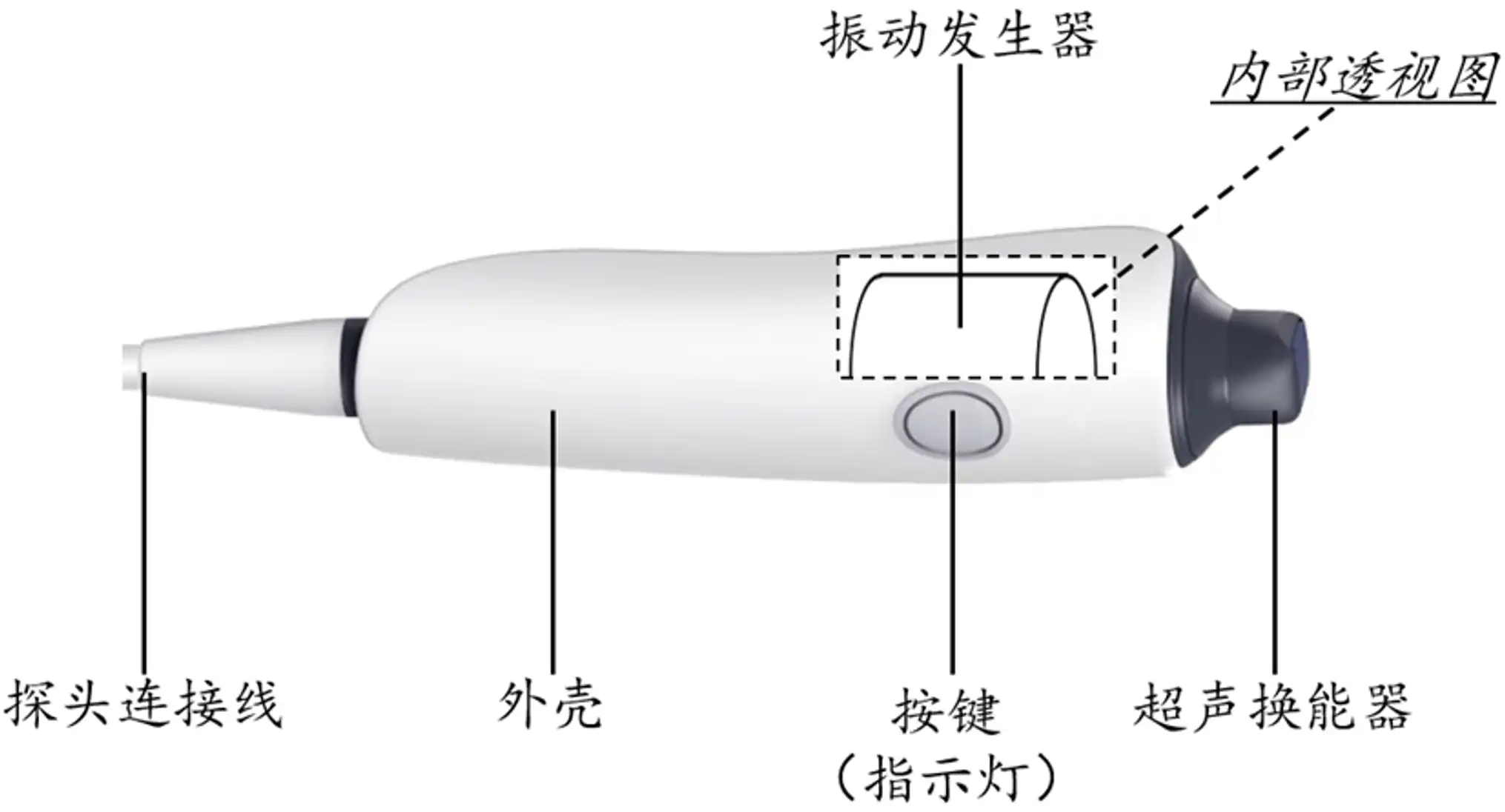 定量剪切波超声肝脏测量仪注册审查探头内部结构图解