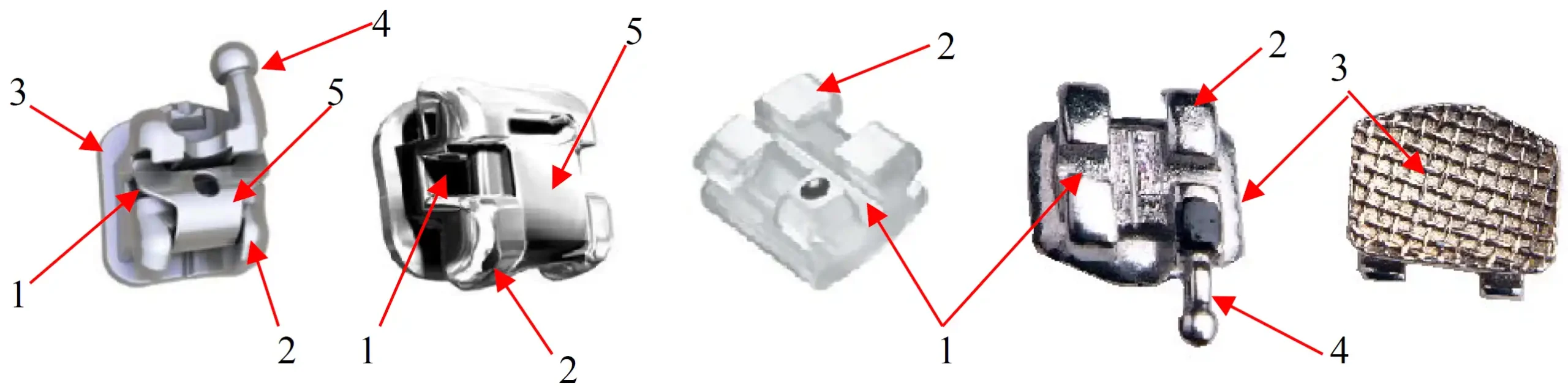 正畸托槽结构示意图 - 正畸托槽注册审查