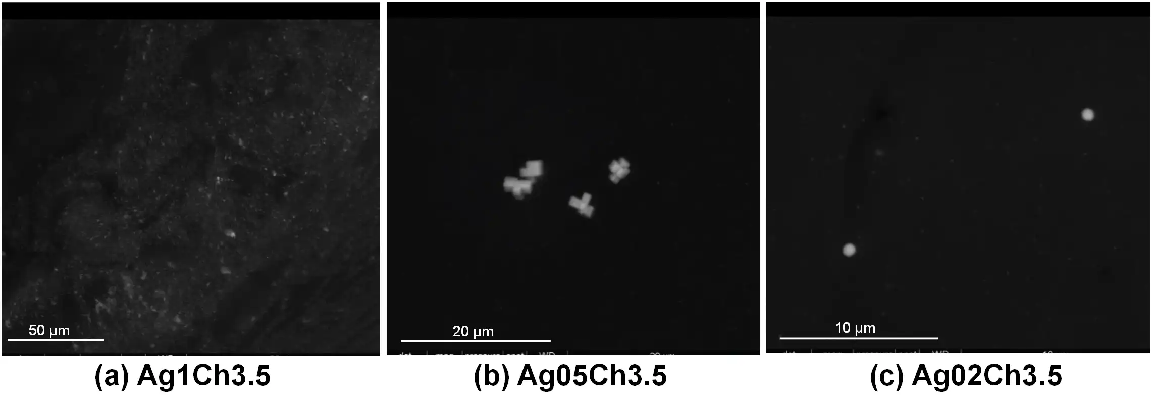 应用纳米材料的医疗器械安全性和有效性评价 图4