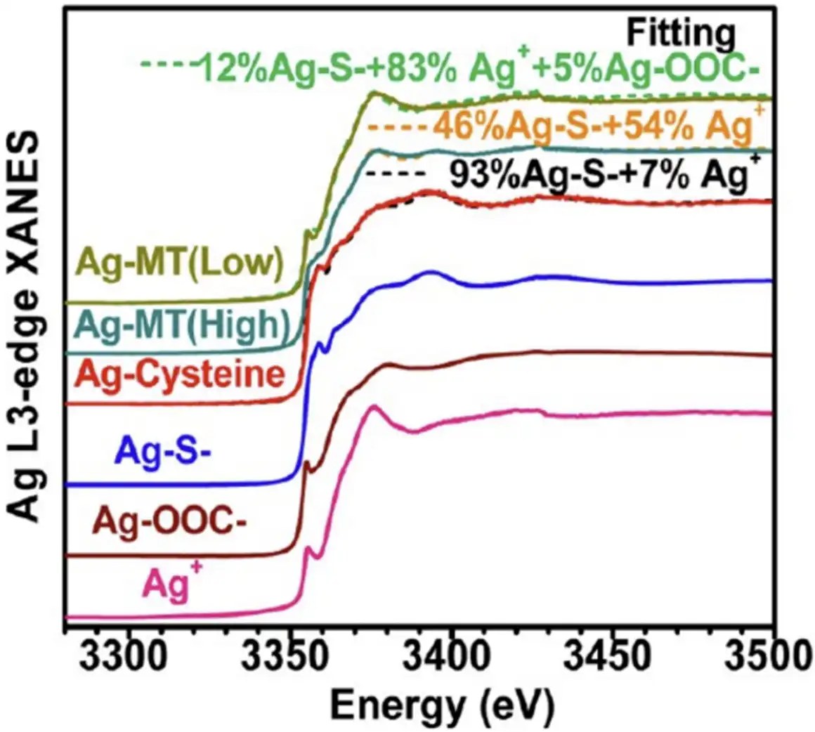 应用纳米材料的医疗器械安全性和有效性评价 图18
