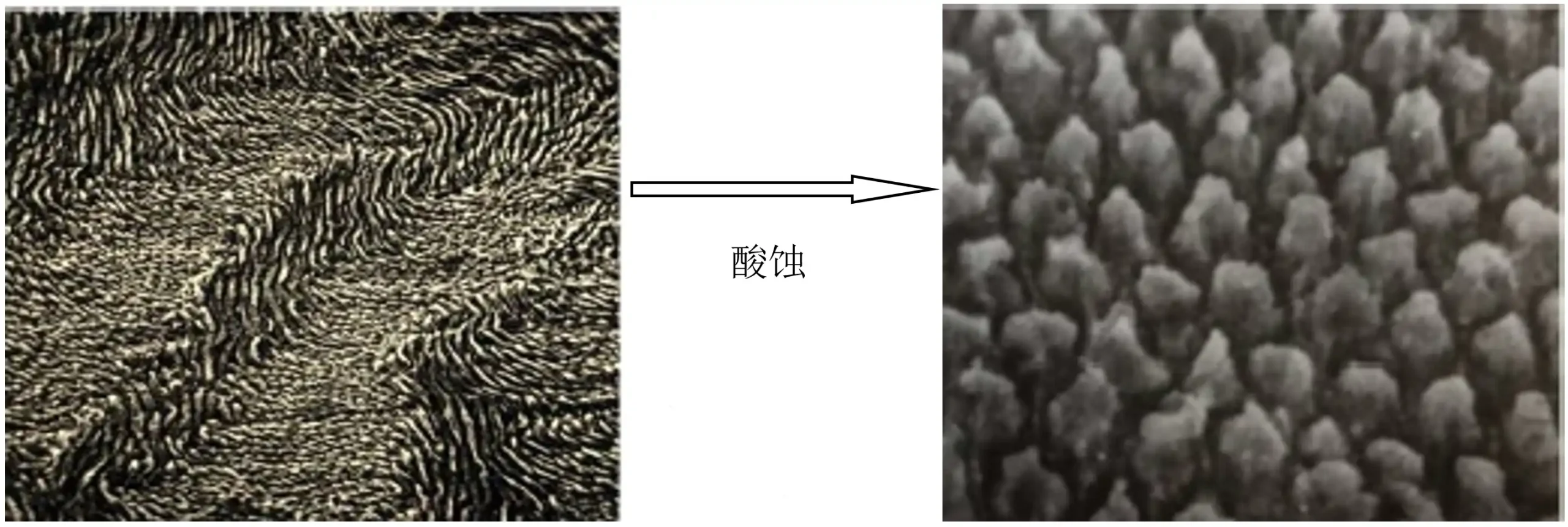 牙科用磷酸酸蚀剂注册审查--图1