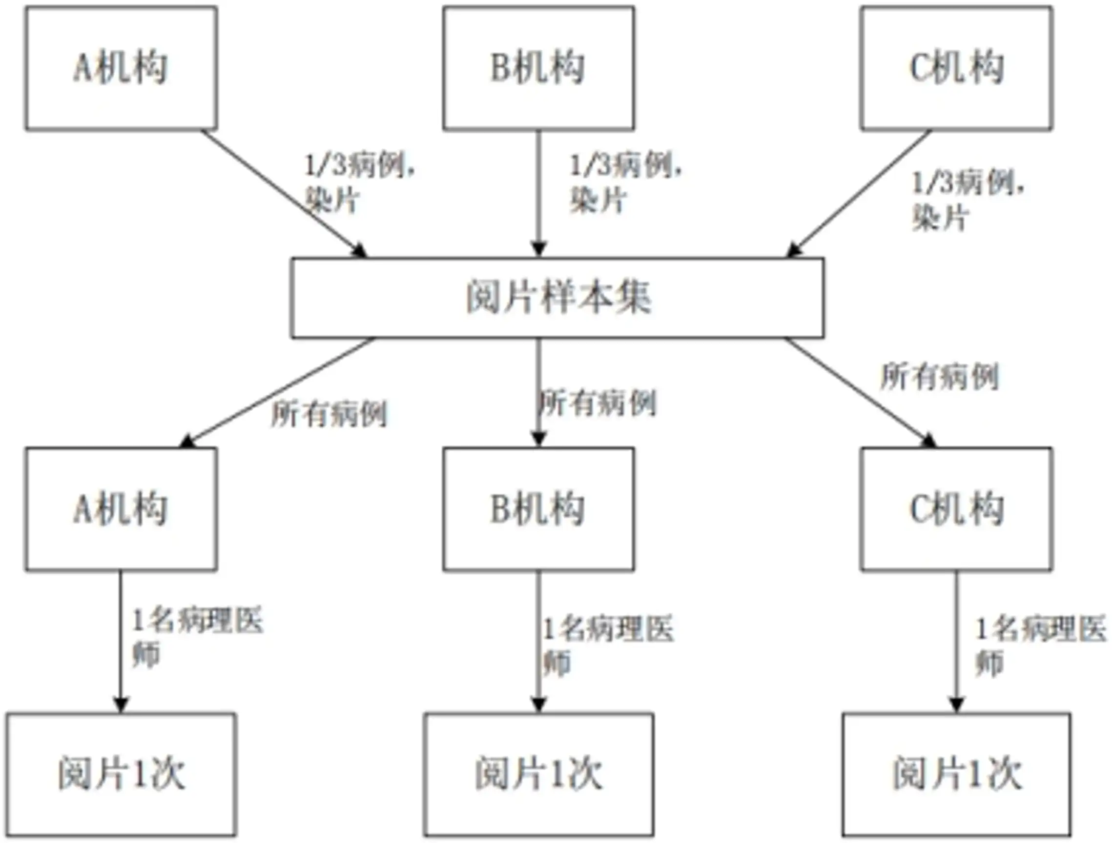 PD-L1检测试剂临床试验—结果重现性研究 不同机构间病理医师阅片一致性试验设计示意图