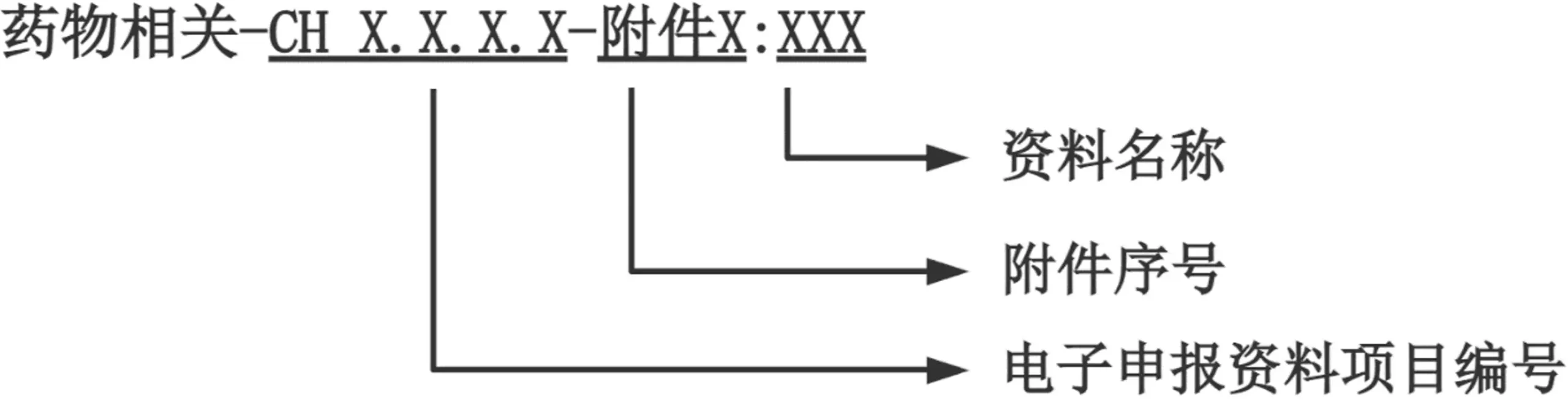 文件命名规则 - 药械组合产品注册审查指导原则