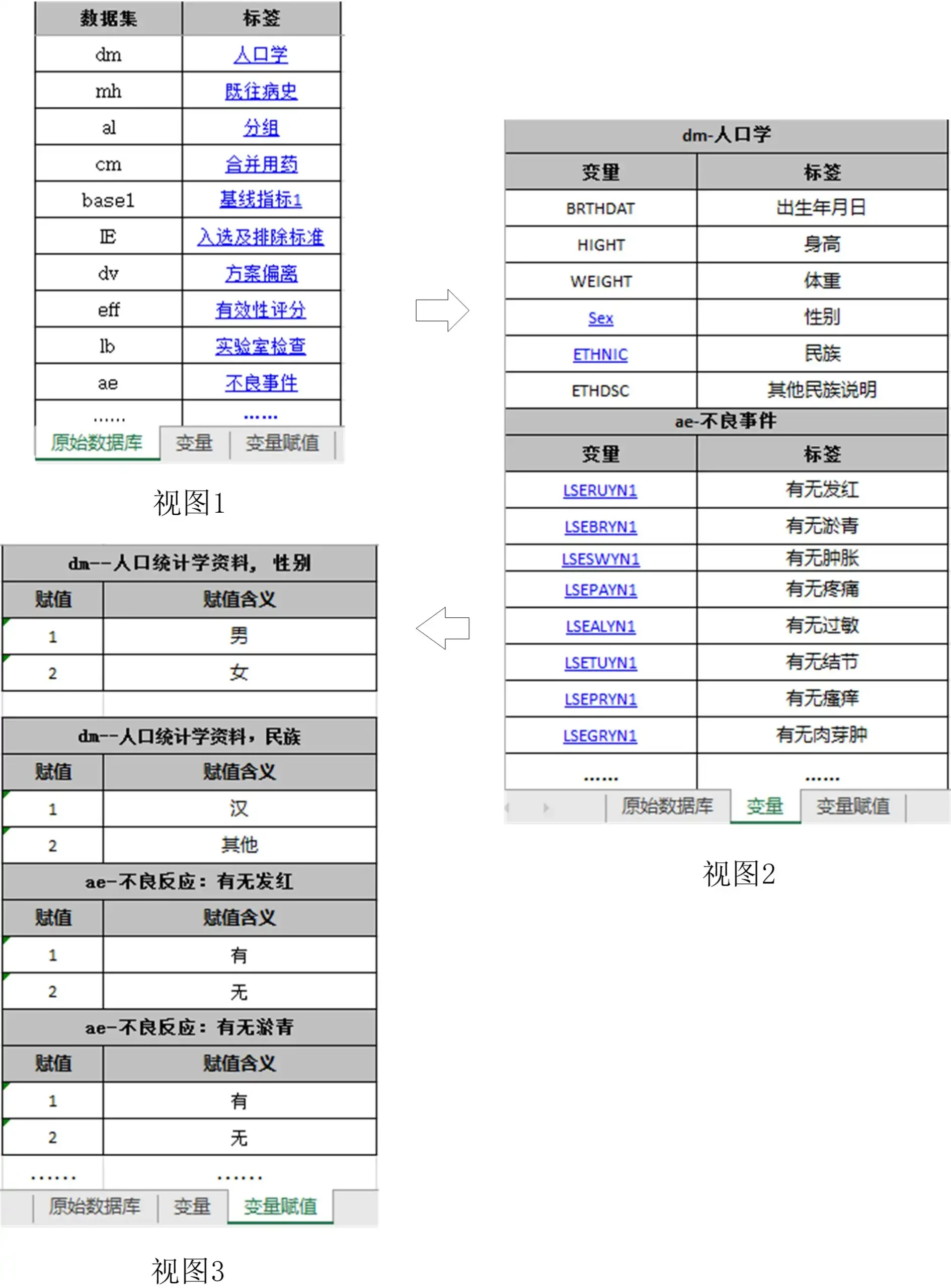 数据集、变量关系列表举例视图，帮助企业理解并落实临床试验数据递交要求