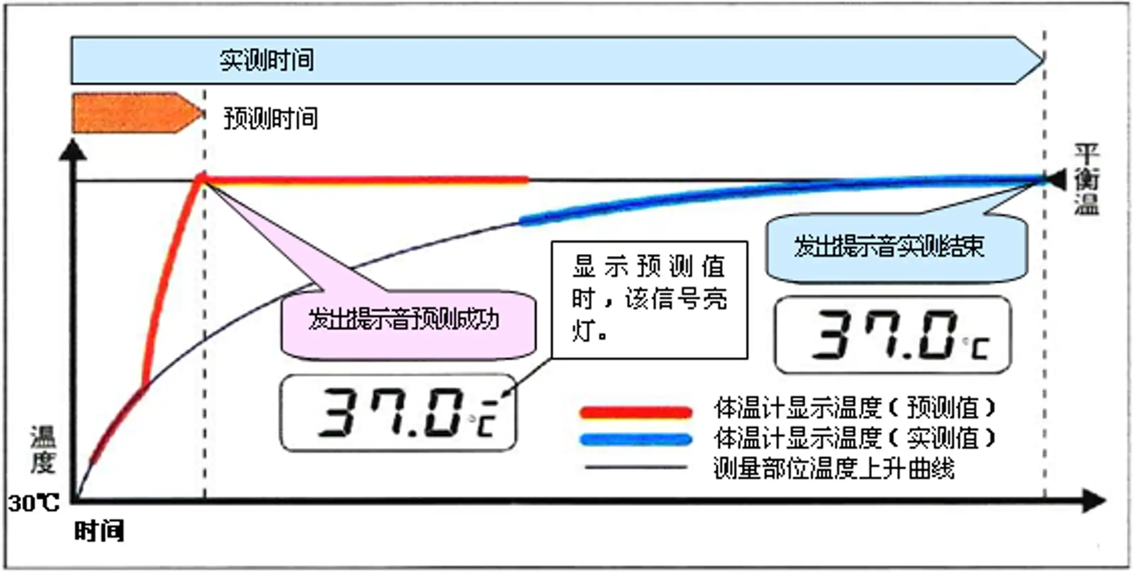 医用电子体温计注册审查中的预测模式温度上升示意图