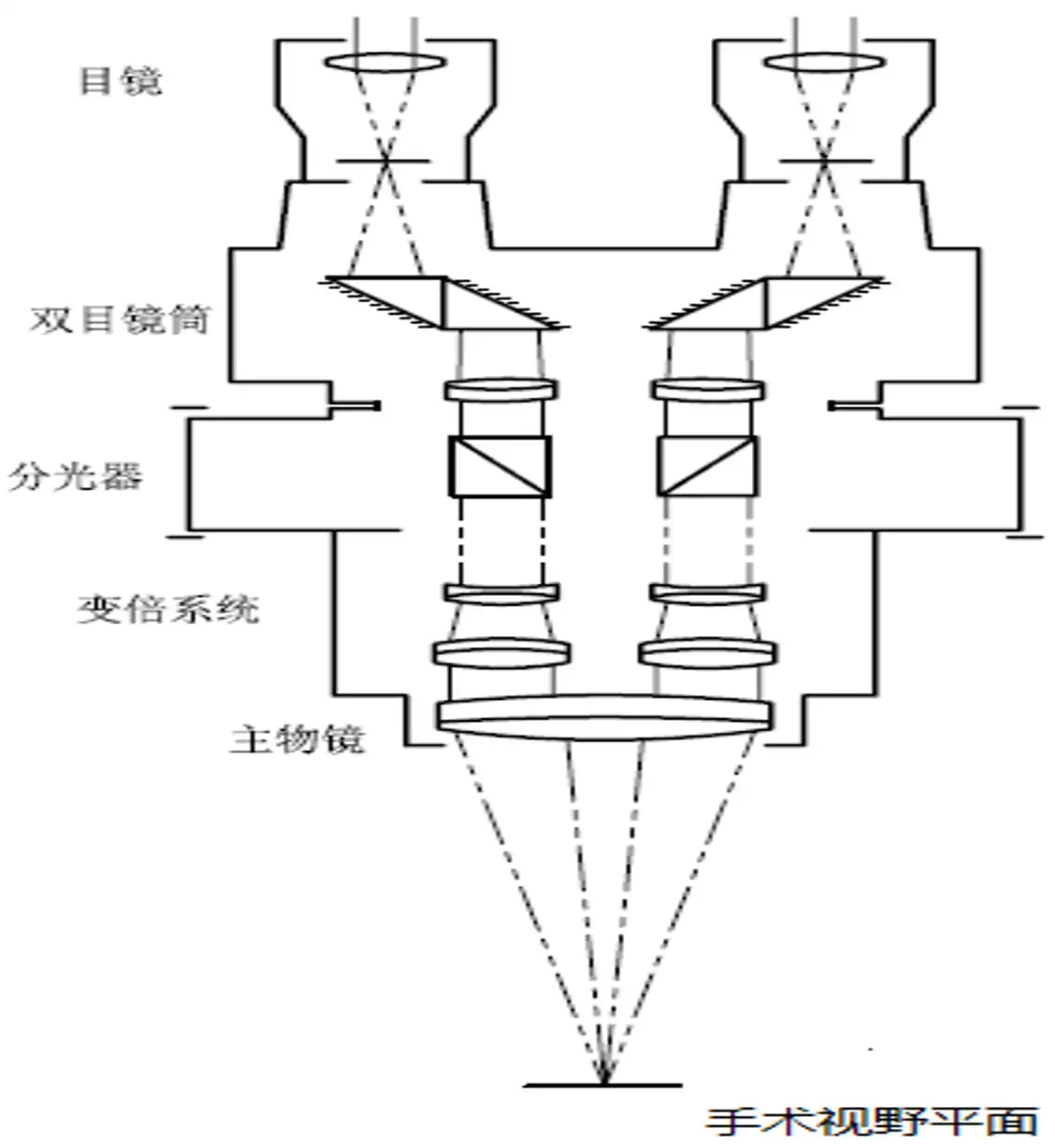 手术显微镜注册审查中的大物镜型光学结构原理图