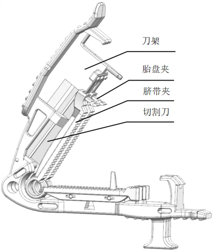一次性使用脐带剪注册审查涉及的纵切式脐带剪结构示意图