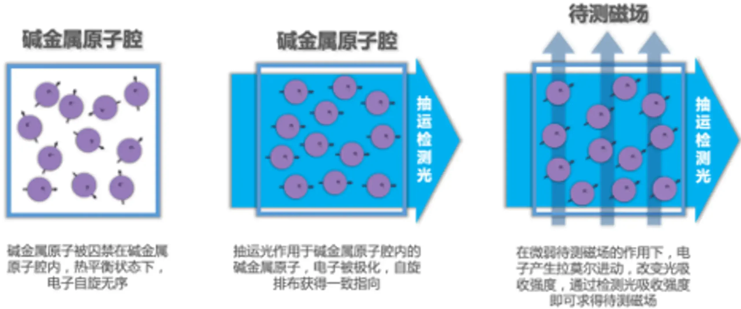 心磁信号采集设备注册审查中的磁信号探测示意图
