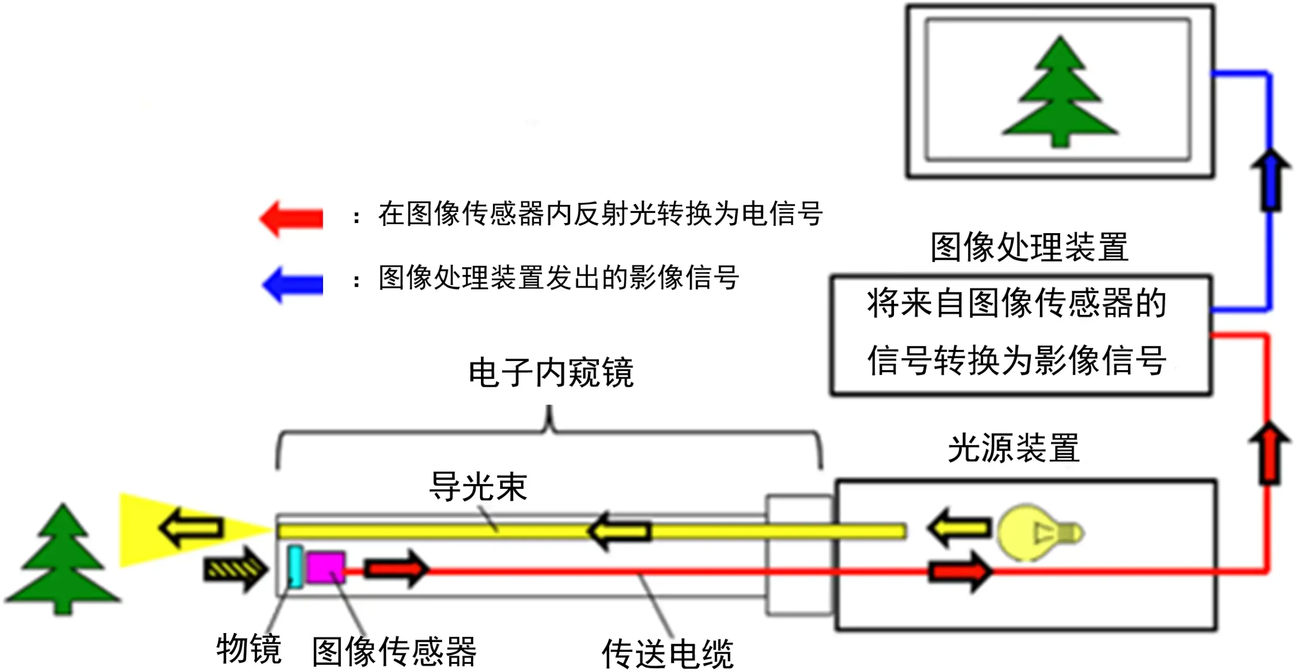 电子上消化道内窥镜注册技术审查图2内窥镜成像流程图