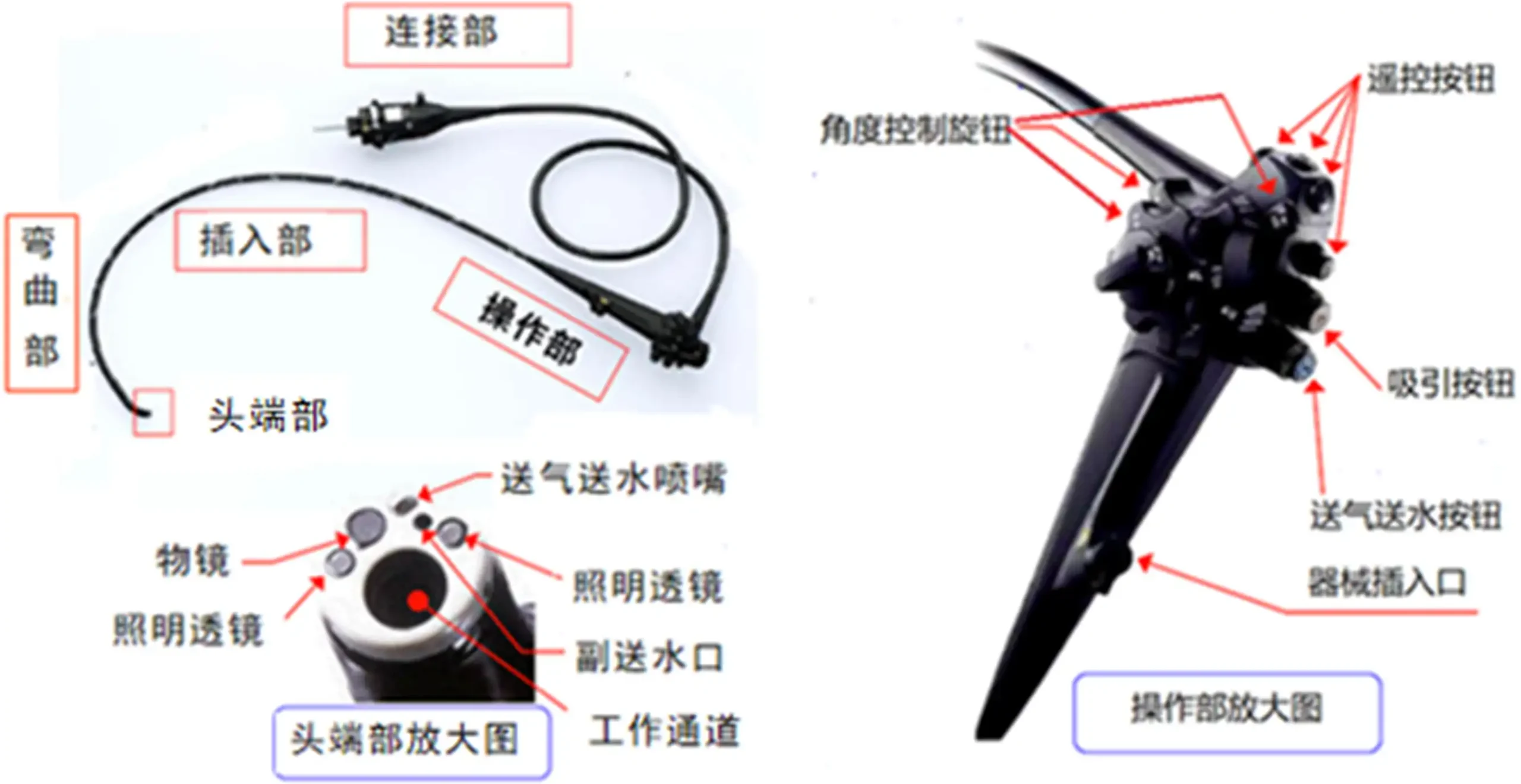 电子上消化道内窥镜注册技术审查图4产品外观结构示意图